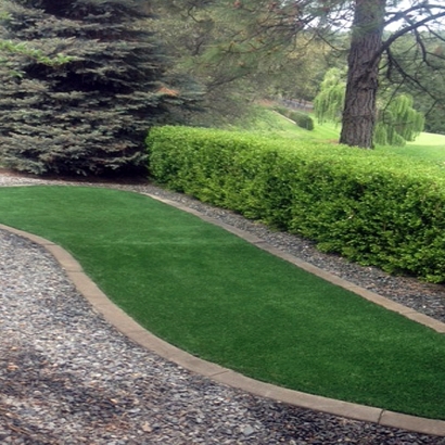 Artificial Grass Carpet Rancho Santa Margarita, California Roof Top
