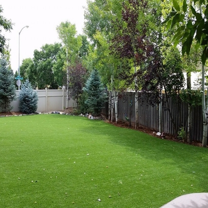 Artificial Grass Carpet San Juan Capistrano, California Landscape Ideas, Backyard Landscaping