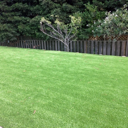 Artificial Grass Carpet Seal Beach, California Landscape Design, Backyards
