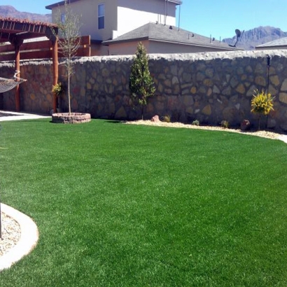 Artificial Grass Carpet Tustin, California City Landscape, Backyard