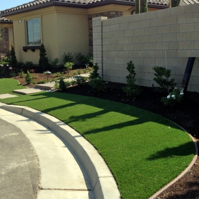 Artificial Grass Placentia, California Home And Garden, Front Yard Landscaping