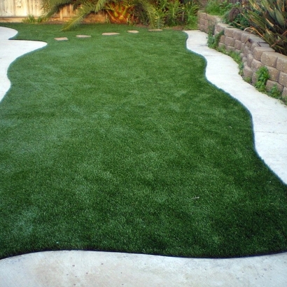 Artificial Grass Seal Beach, California Rooftop, Backyard Makeover