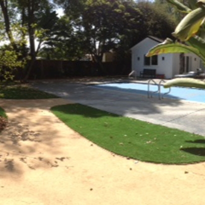 Artificial Lawn Anaheim, California Garden Ideas, Small Backyard Ideas