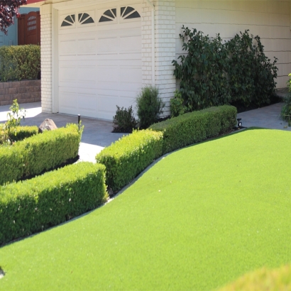 Artificial Lawn Dana Point, California Lawn And Landscape, Front Yard Landscape Ideas