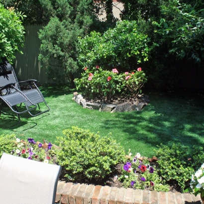 Artificial Lawn Foothill Ranch, California Landscaping Business, Backyard Landscaping