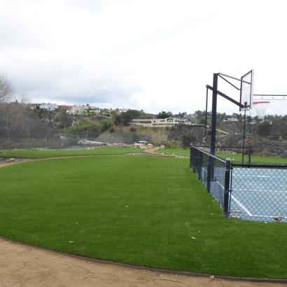 Artificial Lawn Laguna Woods, California Indoor Playground, Commercial Landscape