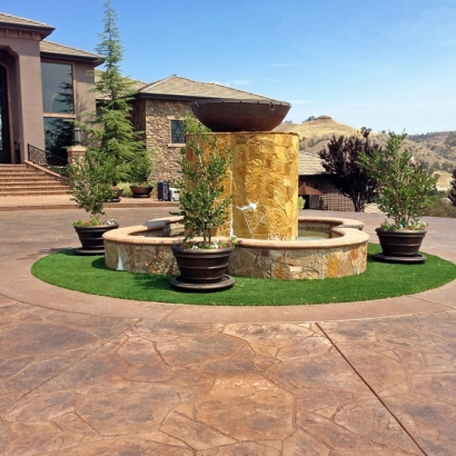 Artificial Lawn Lake Forest, California Home And Garden, Front Yard Ideas