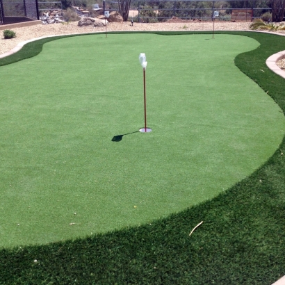 Artificial Lawn Newport Beach, California Indoor Putting Greens, Backyard Design