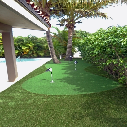 Artificial Lawn Portola Hills, California Backyard Putting Green, Backyard Ideas