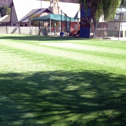 Artificial Turf Cost Anaheim, California Eco Friendly Products, Parks