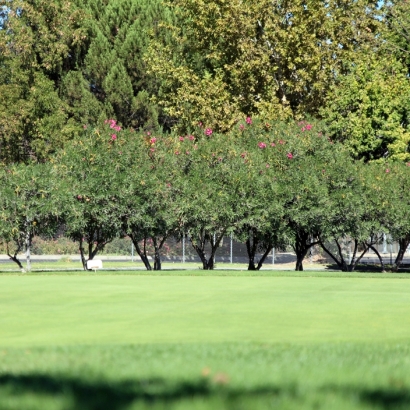 Artificial Turf Cost Costa Mesa, California Lawns