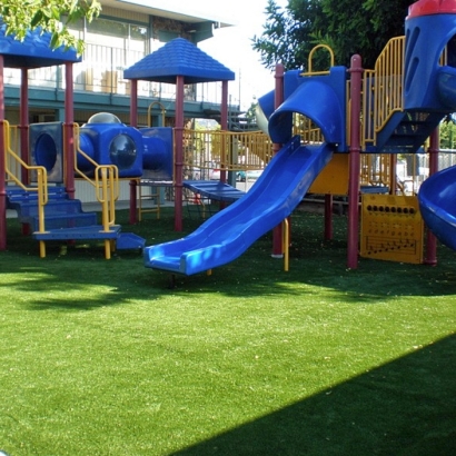 Artificial Turf Cost Fountain Valley, California Lawns, Commercial Landscape