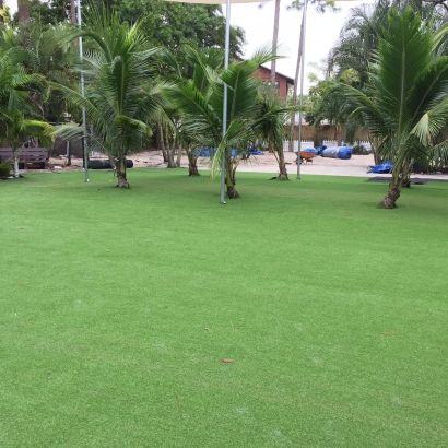 Artificial Turf Cost Ladera Ranch, California Landscape Ideas, Commercial Landscape