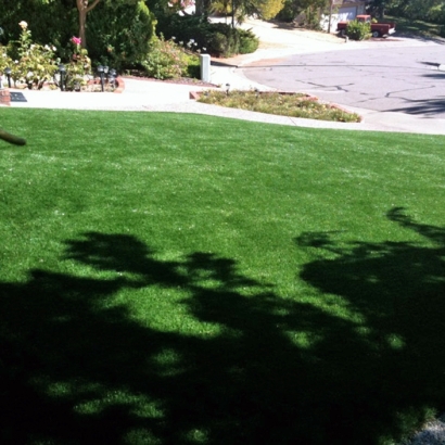 Artificial Turf Installation Newport Beach, California Landscape Photos, Front Yard Landscape Ideas