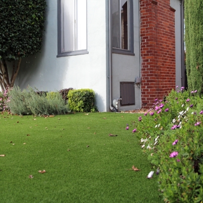 Artificial Turf Placentia, California Roof Top, Front Yard Landscaping Ideas