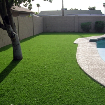 Artificial Turf Rossmoor, California Home And Garden, Swimming Pool Designs