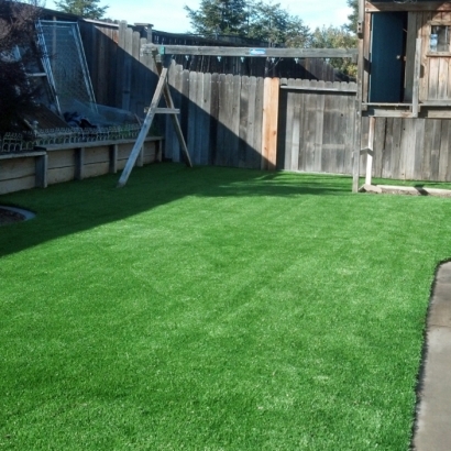 Artificial Turf San Clemente, California Lawn And Landscape, Backyard Landscape Ideas
