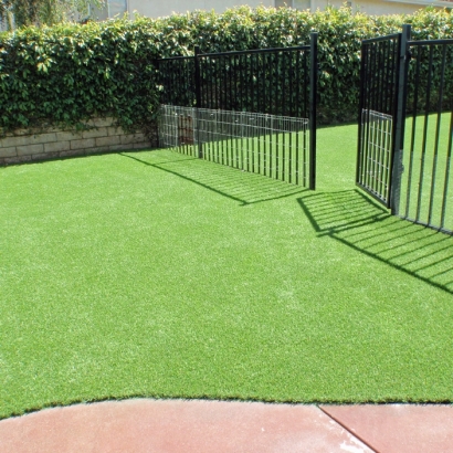 Best Artificial Grass Costa Mesa, California Dog Grass, Front Yard Ideas