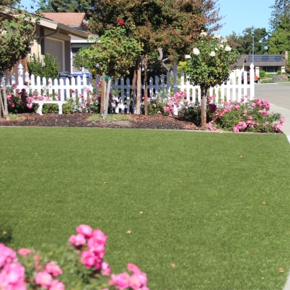 Best Artificial Grass Garden Grove, California Backyard Deck Ideas, Front Yard Landscaping Ideas