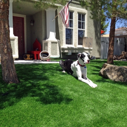 Best Artificial Grass Ladera Ranch, California Drainage, Small Front Yard Landscaping