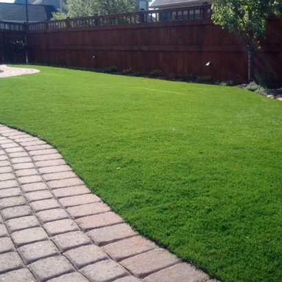 Best Artificial Grass Laguna Beach, California Lawns, Backyard Makeover