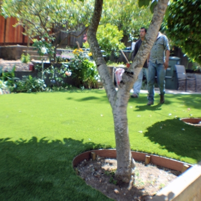 Best Artificial Grass Laguna Hills, California Lawns, Backyard Landscape Ideas
