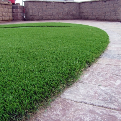 Best Artificial Grass Rancho Santa Margarita, California Home And Garden, Front Yard Landscape Ideas