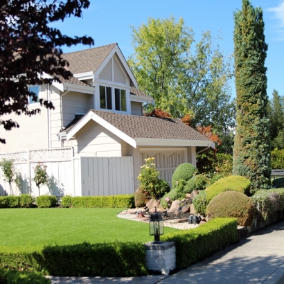 Best Artificial Grass Sunset Beach, California Lawn And Landscape, Front Yard Design