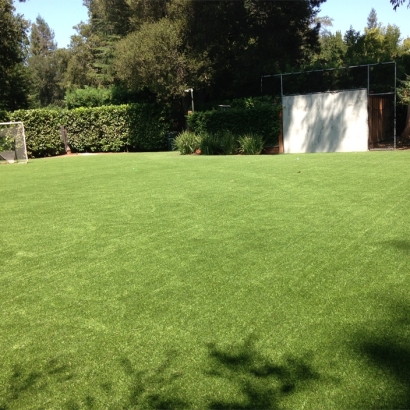 Best Artificial Grass Trabuco Canyon, California Eco Friendly Products, Backyard Makeover