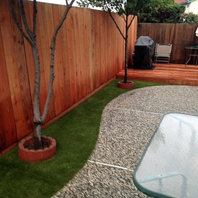 Fake Grass Carpet Aliso Viejo, California Dogs, Beautiful Backyards