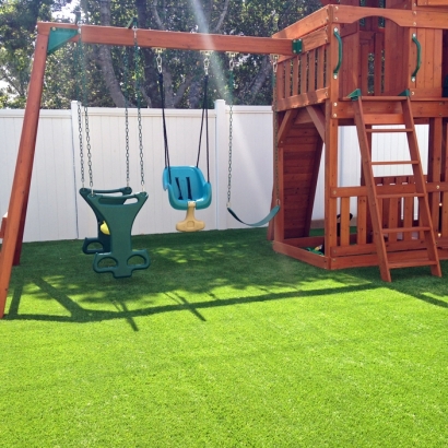 Fake Grass Carpet Cypress, California Playground, Backyard Landscaping Ideas