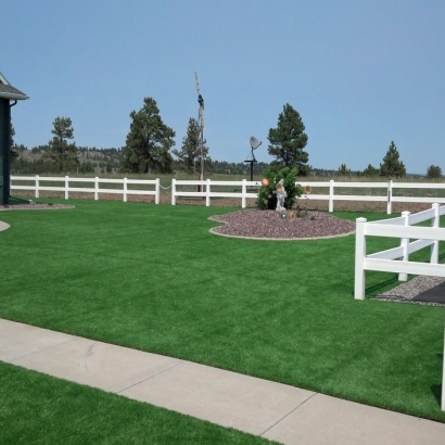 Fake Grass Carpet Dana Point, California Lawn And Garden, Backyard Design