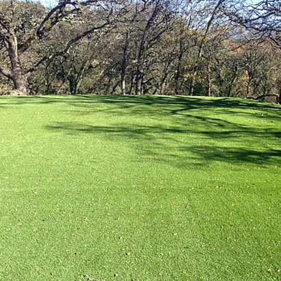 Fake Grass Carpet Dana Point, California Lawn And Landscape, Recreational Areas