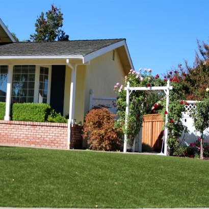 Fake Grass Carpet Fullerton, California Landscape Ideas, Front Yard Landscaping Ideas