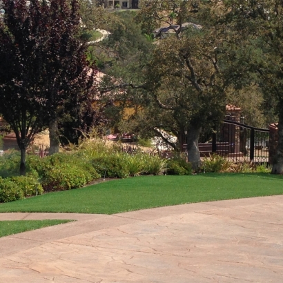 Fake Grass Carpet Huntington Beach, California City Landscape, Backyard Landscape Ideas