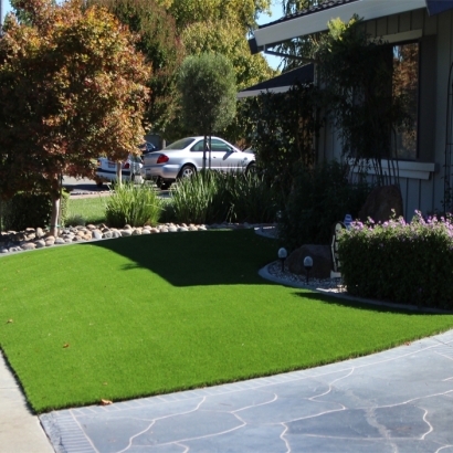 Fake Grass Carpet Ladera Ranch, California Landscape Ideas, Front Yard