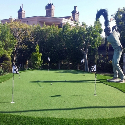 Fake Grass Carpet Mission Viejo, California Landscape Design, Backyard Landscape Ideas