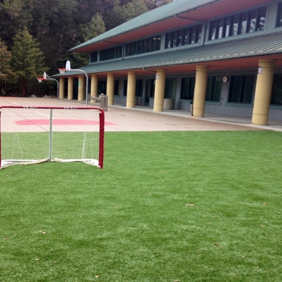 Fake Grass Carpet Portola Hills, California Sports Athority, Commercial Landscape