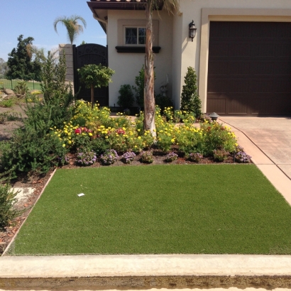 Fake Grass Carpet Rancho Santa Margarita, California Garden Ideas, Front Yard
