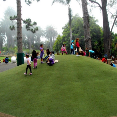 Fake Grass Carpet San Joaquin Hills, California Landscape Photos, Recreational Areas