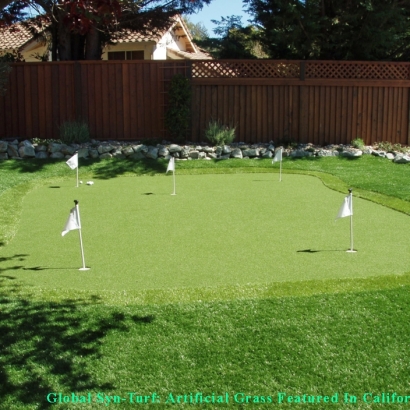 Fake Grass Fountain Valley, California Backyard Putting Green, Backyard Garden Ideas