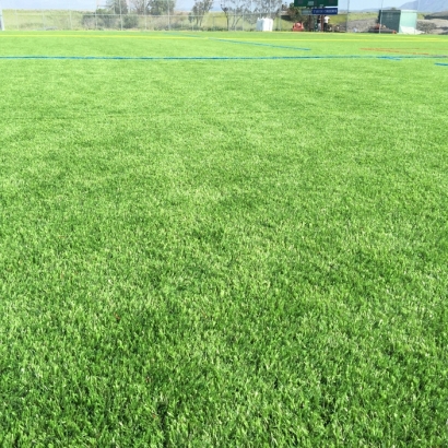 Fake Grass Lake Forest, California Gardeners