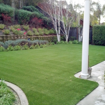 Fake Lawn Costa Mesa, California Hotel For Dogs, Backyard Designs