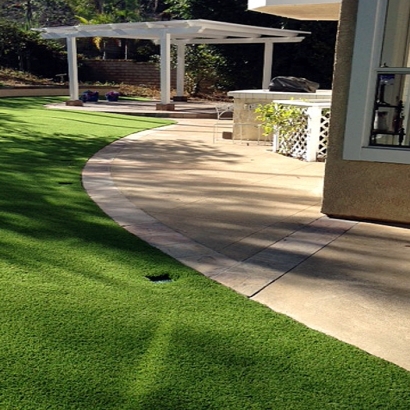 Fake Lawn Lake Forest, California Artificial Turf For Dogs, Front Yard Landscape Ideas