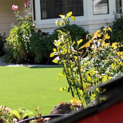 Fake Lawn Las Flores, California Landscape Ideas, Landscaping Ideas For Front Yard