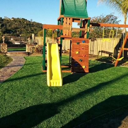 Fake Lawn Seal Beach, California Playground Turf, Backyard Landscaping