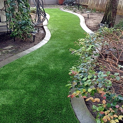 Fake Turf Coto De Caza, California Landscape Photos, Backyard Ideas