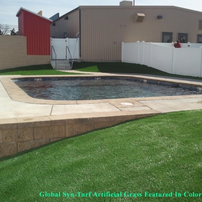 Fake Turf La Palma, California Lawn And Garden, Natural Swimming Pools