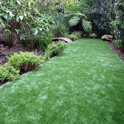 Fake Turf Laguna Woods, California Landscape Photos, Backyards