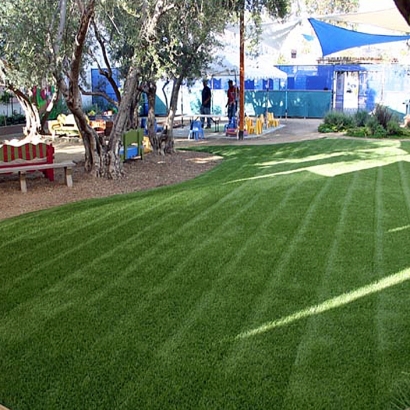 Fake Turf Portola Hills, California Lawns, Commercial Landscape